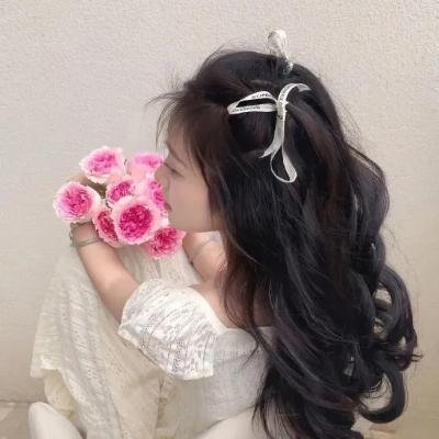 搜索者