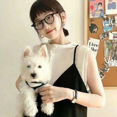 无言的旅程